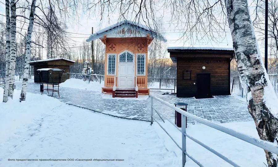 Автобус| В гости к ТалвиУкко: новогодняя сказка Карелии