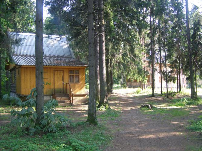 Сокол (п. Заречье)