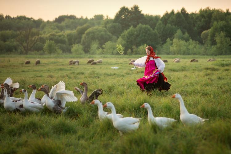 Автобус | Болгар и Гарибальди: в гостях у истории
