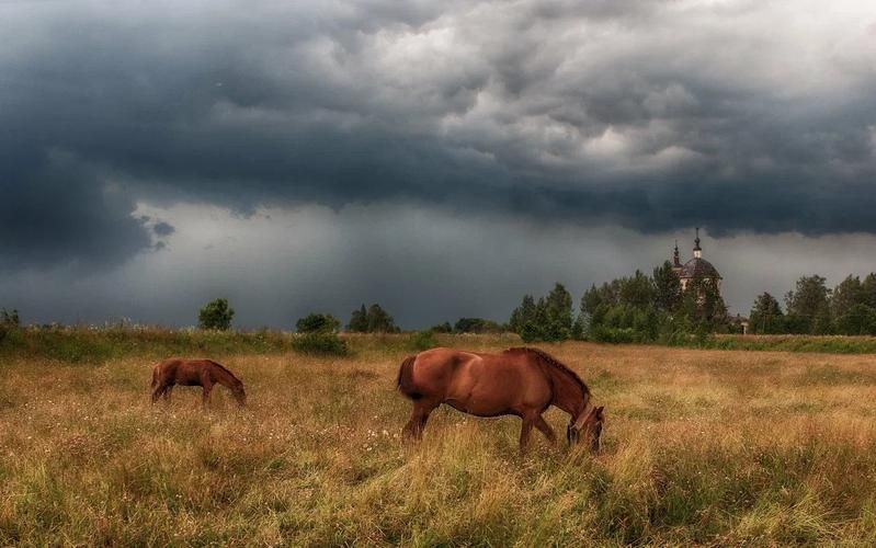 Курс на Север: сквозь легенды и просторы