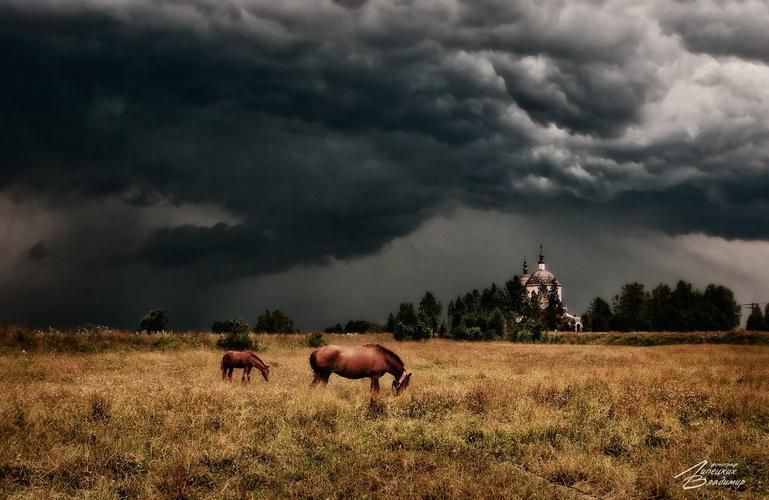 Горизонты Дальнего Востока