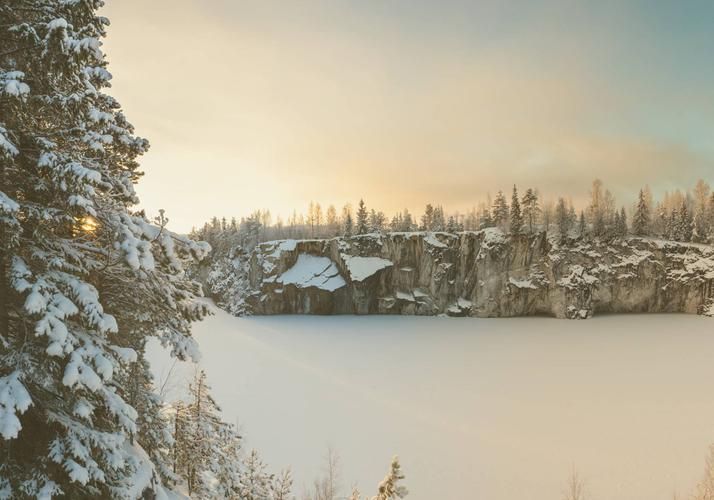 Северное Рождество: когда лес поёт, а снег — это музыка