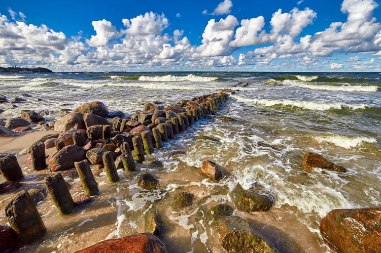 Город в вечернем сиянии: органная мелодия Калининграда