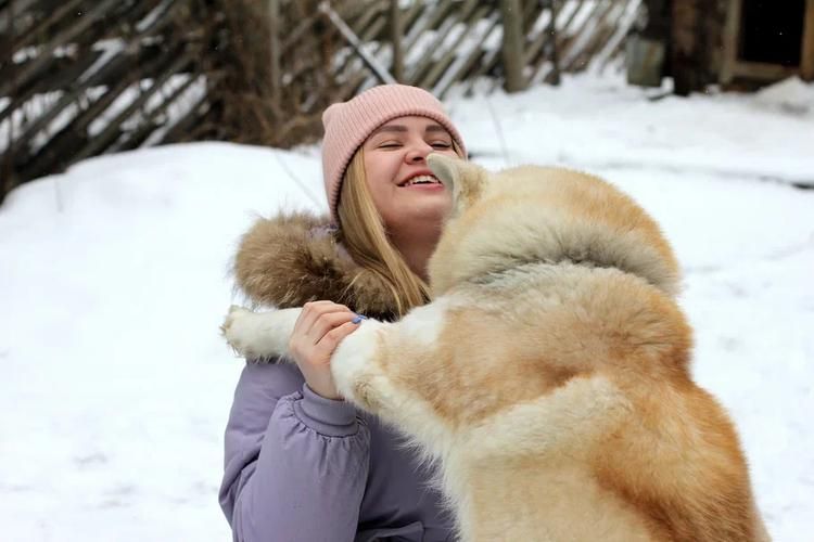Хаски близко: откройте северный характер без дальних дорог