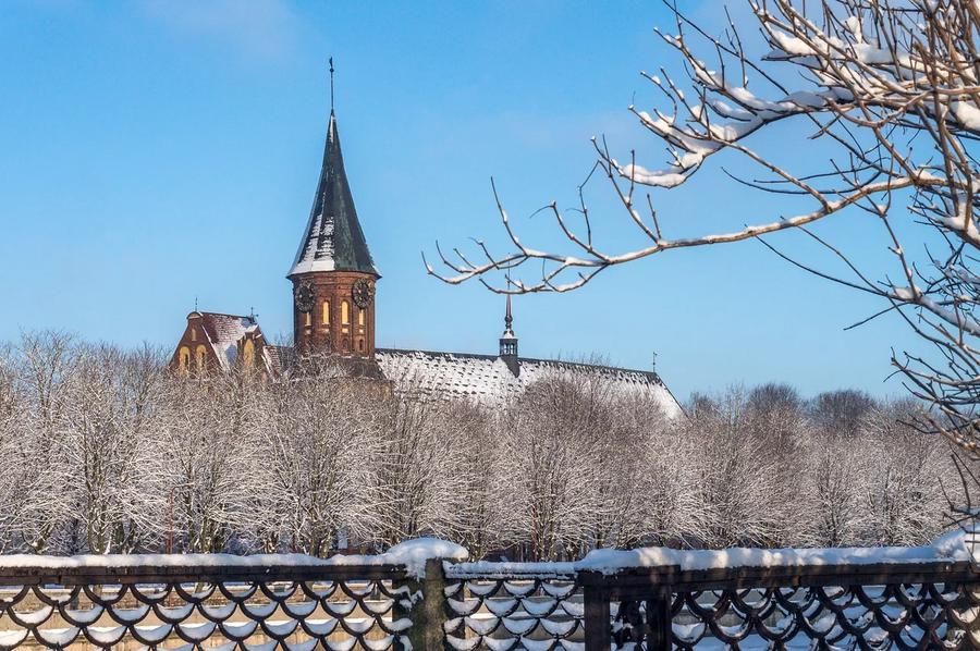 Автобус| Кёнигсберг в янтарном свете: новогодняя история из Нижнего Новгорода