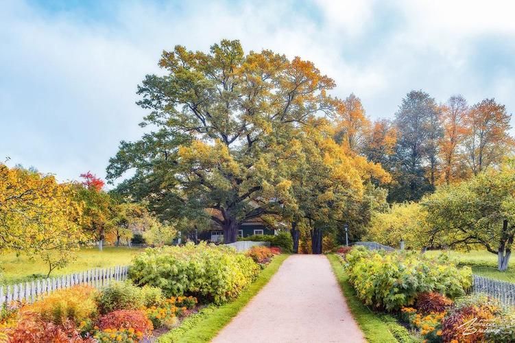 Автобус| Усадебные легенды Псковщины