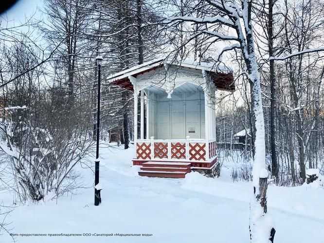 Автобус | Новый год на природе в загородном отеле у озера в Карелии