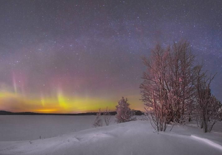 Автобус| Рождество в лесу братьев Гримм из Твери
