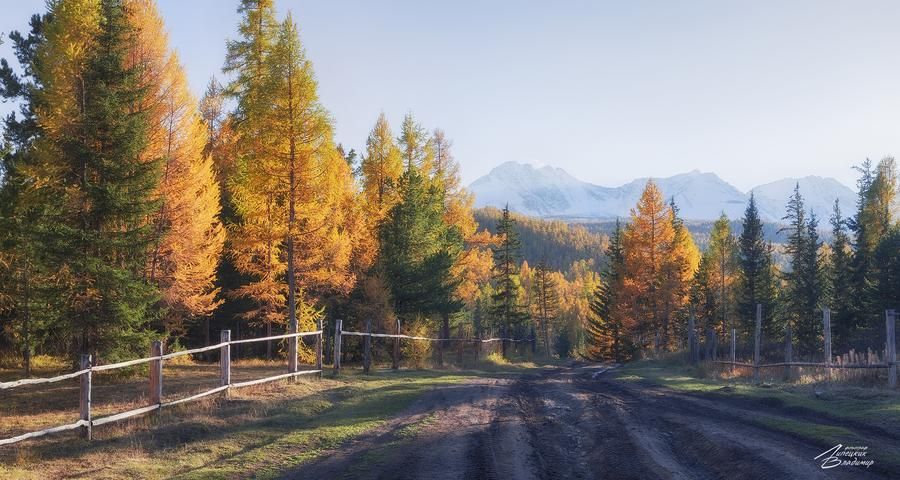 На Камчатку весной (промо)