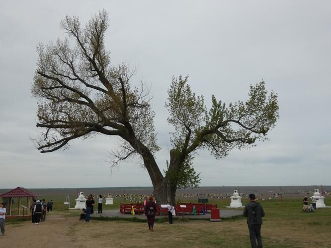 Огонь без дыма — только краски