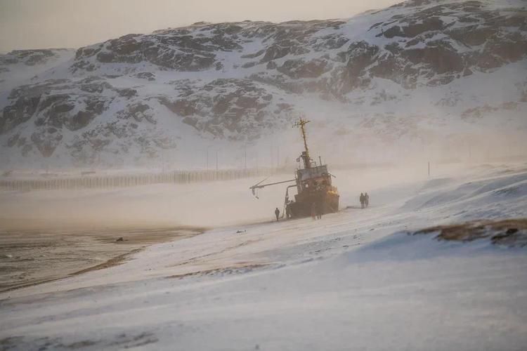 Китовое сафари в Териберке