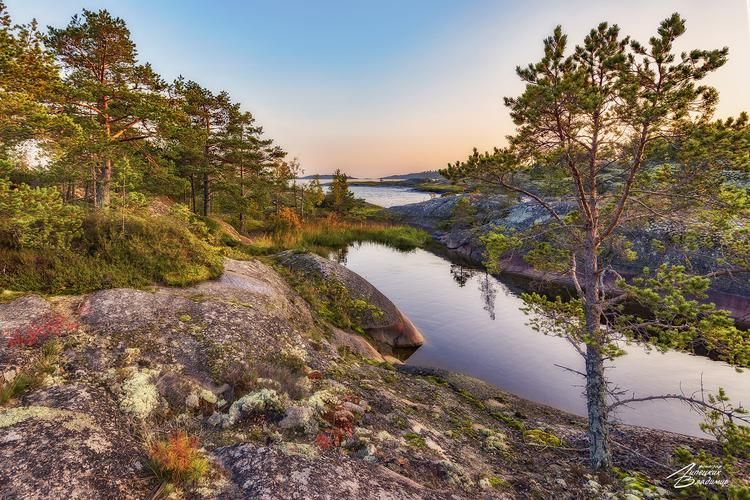 Водопады, гранат, альпаки и тигры: путешествие в Карелию