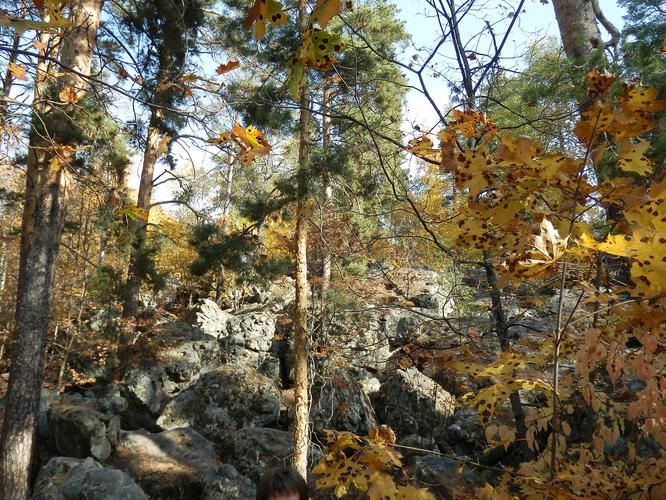 В объятия Сибири: навстречу неизведанному