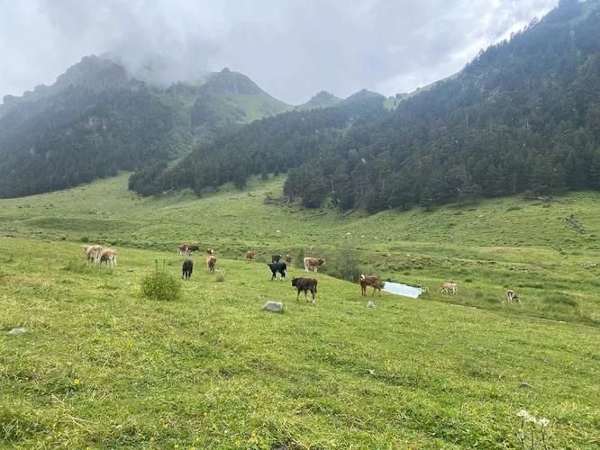 Вызов гор: 10‑дневный треккинг в Архызе и Домбае