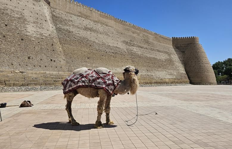 Тимуридская сила