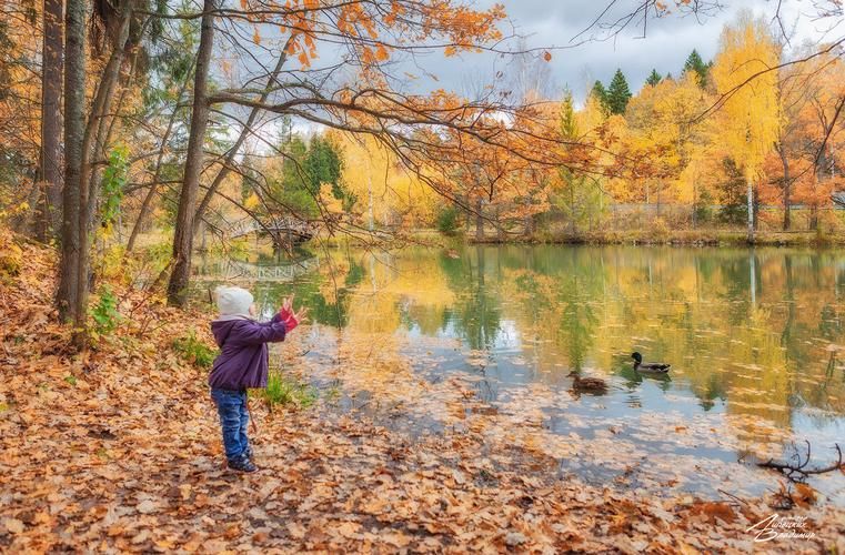 В погоне за незабываемыми моментами